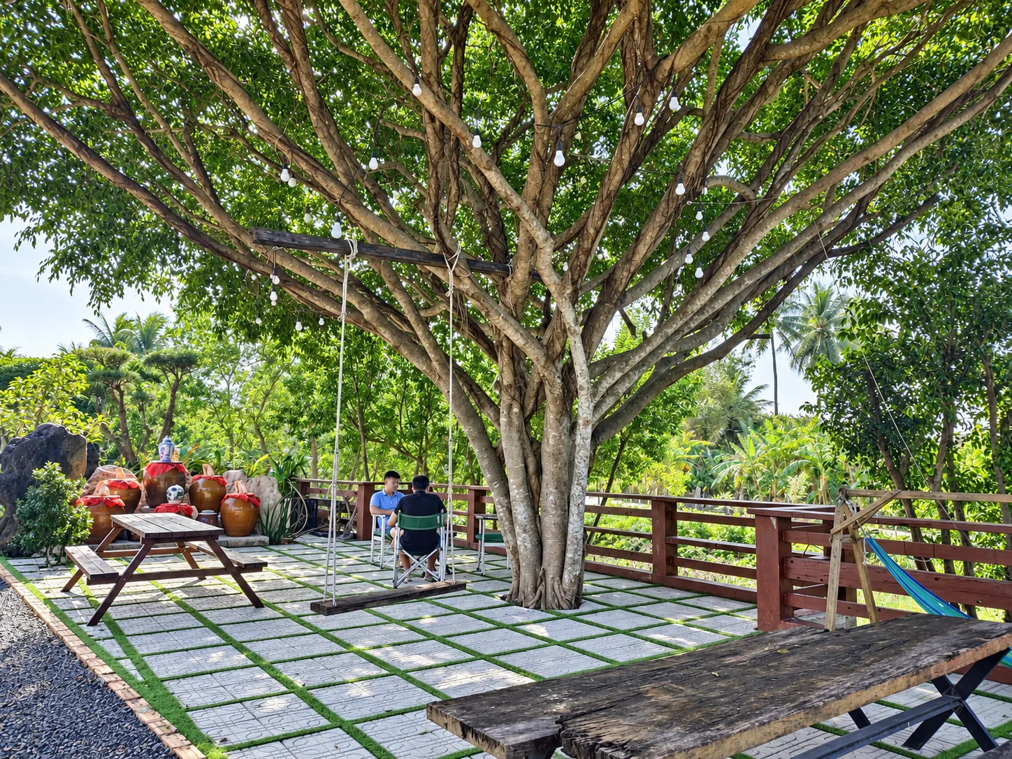Riverside garden and mature trees at Saturday Homestay Phu Yen